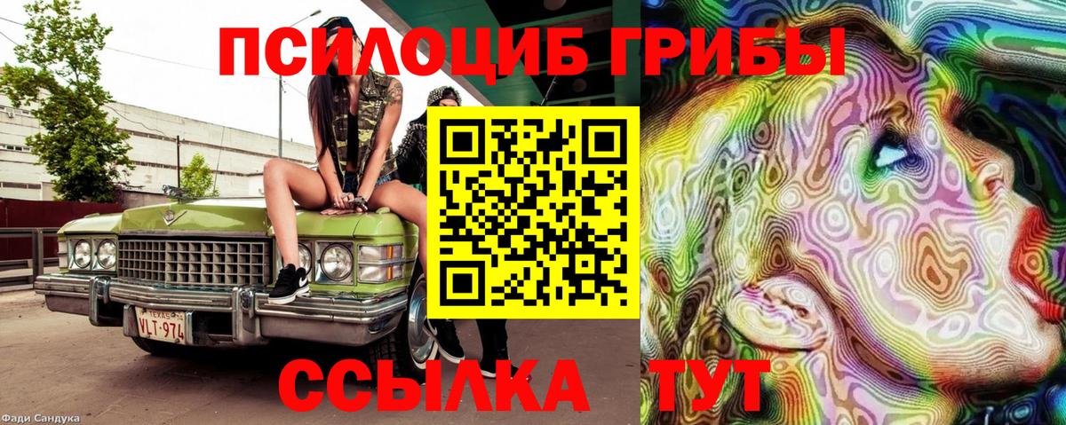 Псилоцибиновые грибы Psilocybe Джанкой