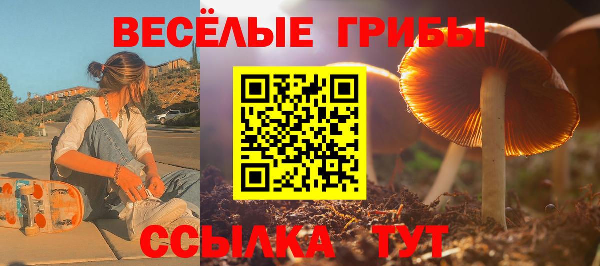 купить наркотик  Псилоцибиновые грибы Cubensis  Джанкой  Вход с VPN  Галлюциногенные грибы Psilocybine cubensis 